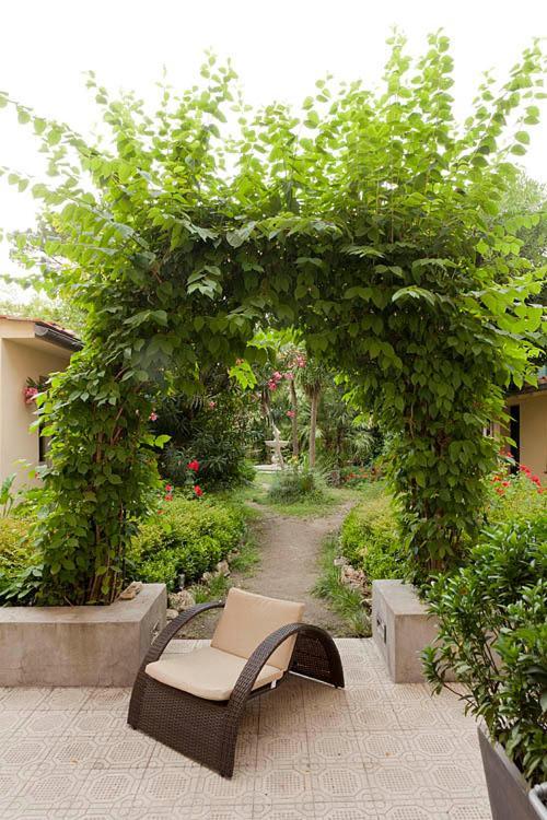 Hotel Novecento Pisa Exterior photo